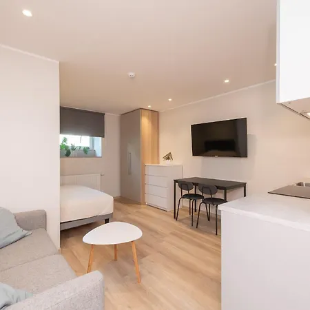 公寓 Roosikrantsi *