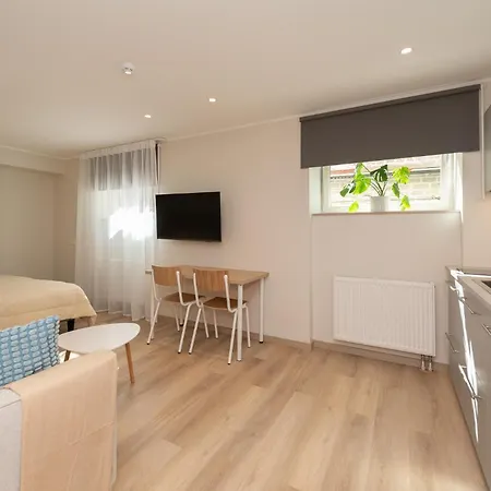 Roosikrantsi 公寓 *