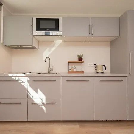 公寓 Roosikrantsi *