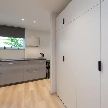 Roosikrantsi 公寓 *