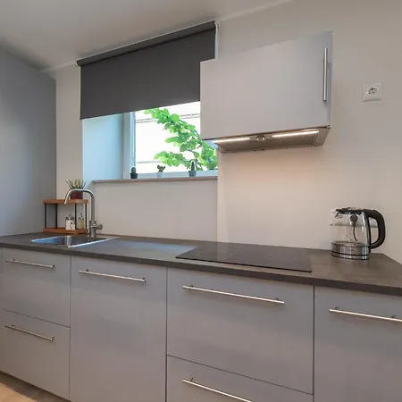 Roosikrantsi Apartment Tallinn