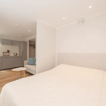 Roosikrantsi Apartment