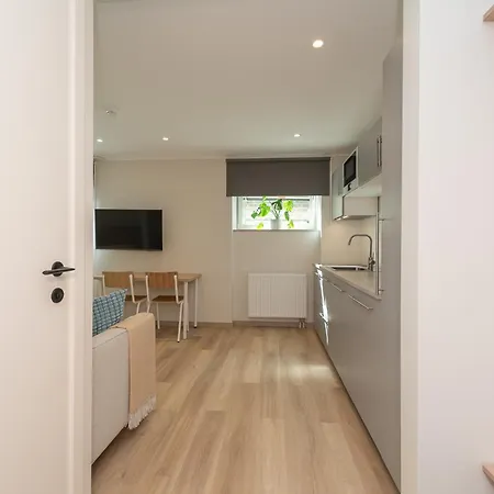 Roosikrantsi Apartment