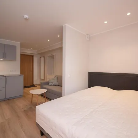 公寓 Roosikrantsi *