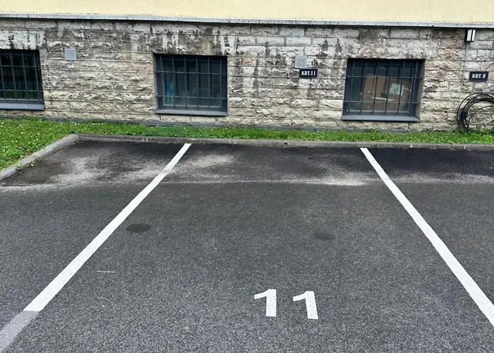 Roosikrantsi Διαμέρισμα Ταλίν