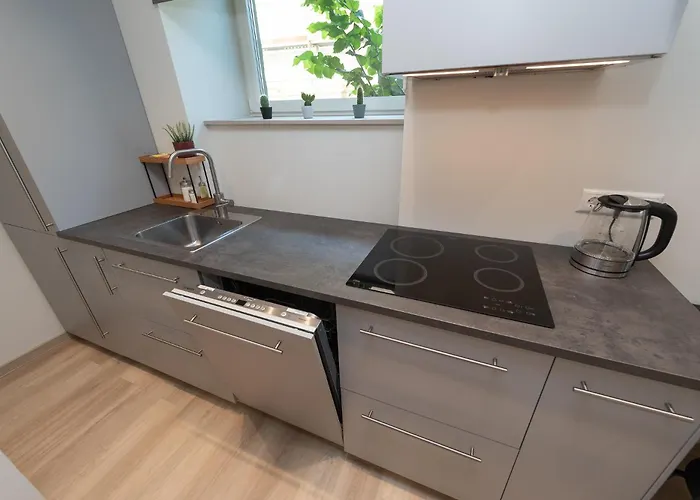 Roosikrantsi Apartament *