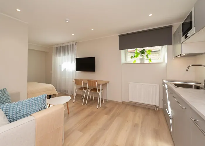 Roosikrantsi Apartament *