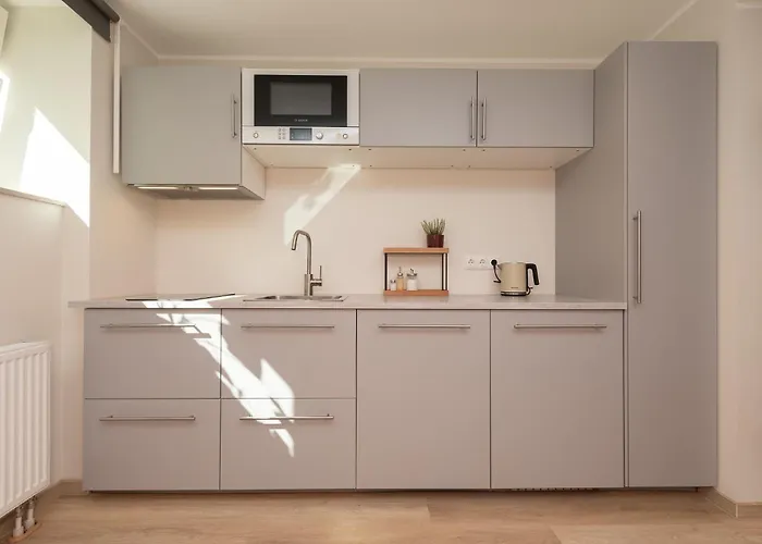 Apartament Roosikrantsi *