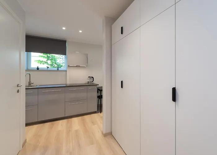 Roosikrantsi Apartament *