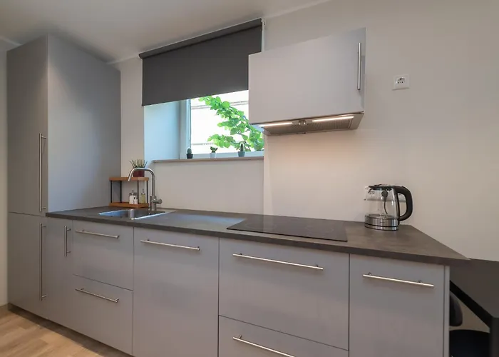 Roosikrantsi Apartament Tallin