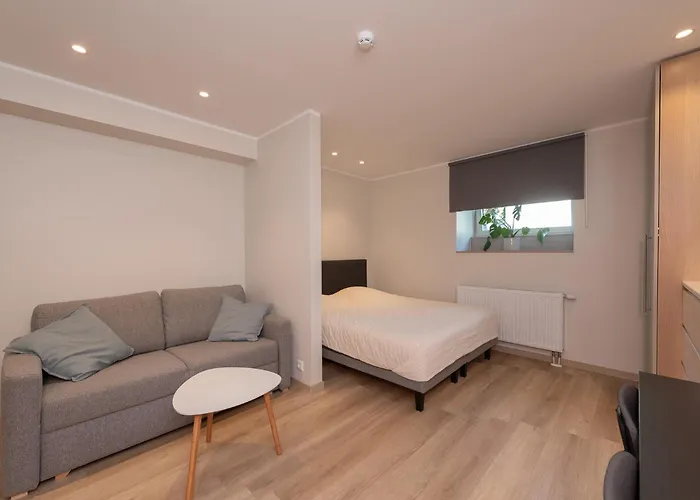 Apartament Roosikrantsi *