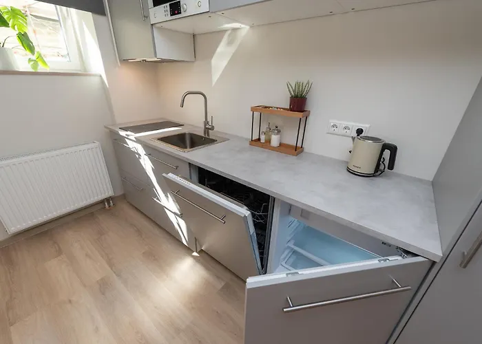 Roosikrantsi Apartament *