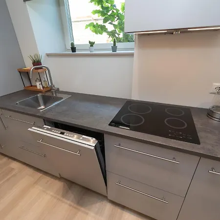 Roosikrantsi Appartement *