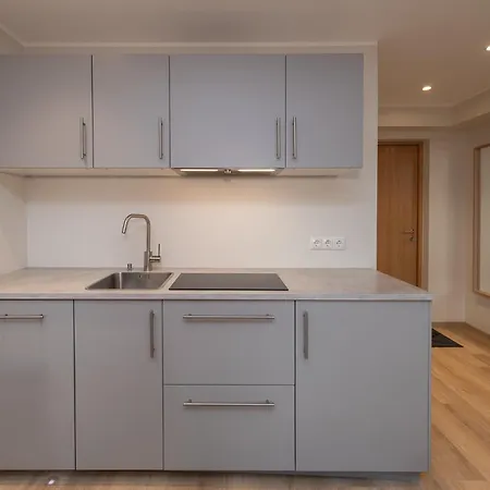 Roosikrantsi Appartement Tallinn