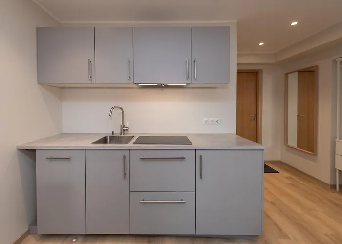 Roosikrantsi Appartamento Reval